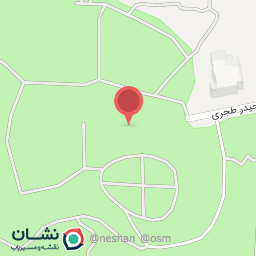 عکس فست فود روشنا