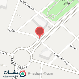 عکس فلافل خوشمزه 