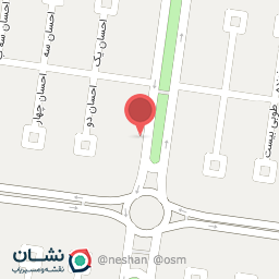 عکس مرغ و ماهی سید