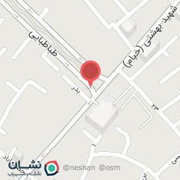 عکس کفش رکورد