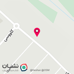 عکس بازرگانی زینو 