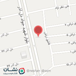 عکس دانه پرندگان و آجیل فروشی محسنی