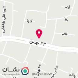 عکس فست فود