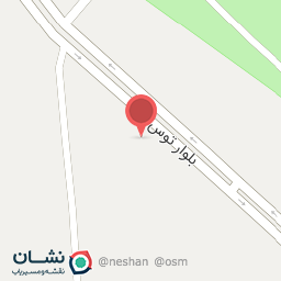 عکس ترمزسازی رضا