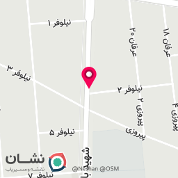 عکس پیتزا میلان