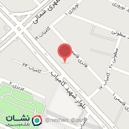 عکس فست فود ژاوین