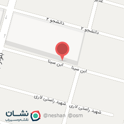 عکس کیف و کفش پارمیس