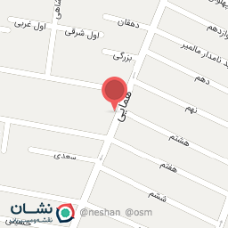 عکس کیف و کفش تی تی ش