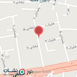 عکس پرده پور موسوی