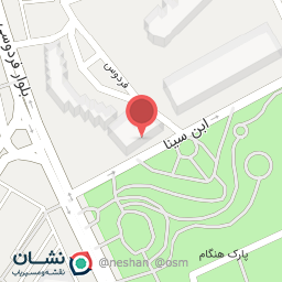 عکس پیتزا نارگیل