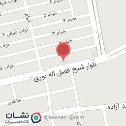 عکس کارواش دلفین