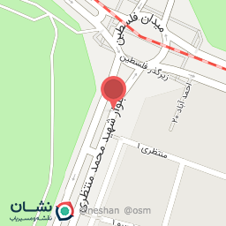 عکس دکتر فرزانه مالکی