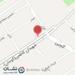 عکس غذای کامی نو