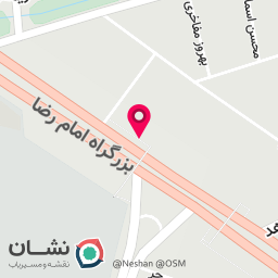 عکس فست فود