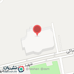 عکس بادی اسپینر اوپال شعبه سرو