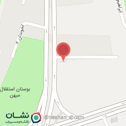 عکس تهیه غذای بی نظیر