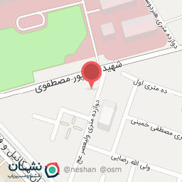 عکس تاکسی تلفنی پرواز