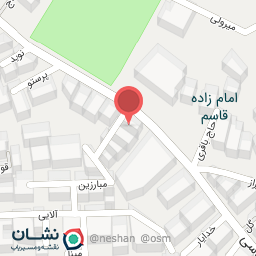 عکس تهیه غذای دلیمون