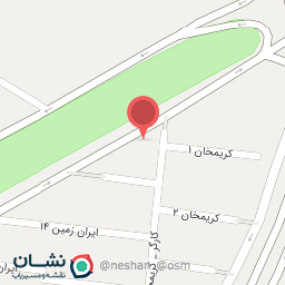 عکس کیف و کفش نیکپا