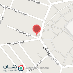 عکس خودپرداز