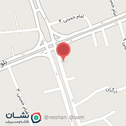 عکس مرغ ماهی رادسرشت