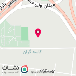 عکس جانبازان