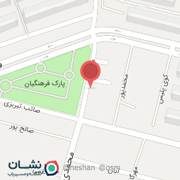 عکس فست فود شوشا