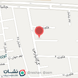 عکس کفش هزار چهره