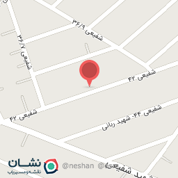 عکس پیتزا و کباب ترکی حامد 