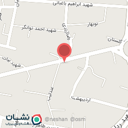 عکس تهیه غذای زیتون سبز