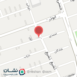 عکس تهیه غذای نارنج