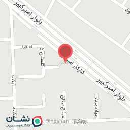 عکس آبمیوه بستنی نیری