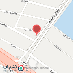 عکس پیتزاویچ توپولی