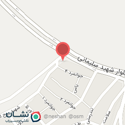 عکس خودپرداز