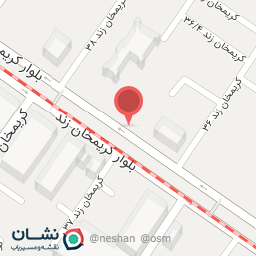 عکس کفش برند