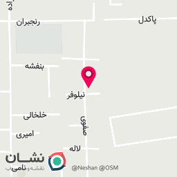 عکس معیار گستر صدر