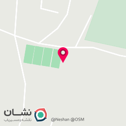 عکس مربی تنیس و پدل نیما شیری جیان
