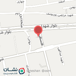 عکس مرغ دلیر صفت