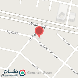 عکس شرکت دیده بان سیستم پویا نگر پاژ