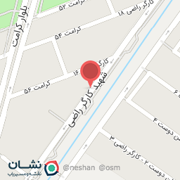 عکس شهید کارگر راضی 16