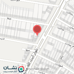 عکس کتونی امیر اورجینال