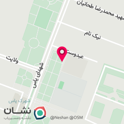 عکس فینگر فود میرزائی