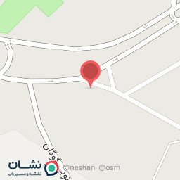 عکس غذا خوری انا