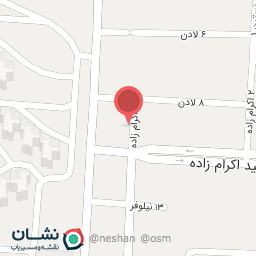 عکس الکتریکی آقایی