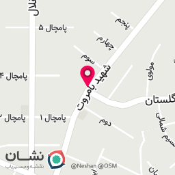 عکس موبایل رهپویان
