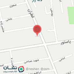 عکس نمایندگی فونیکس امنیت پرست411