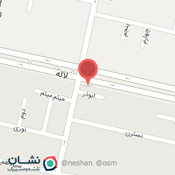 عکس فست فود بانی چاو