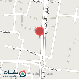 عکس شید برگر