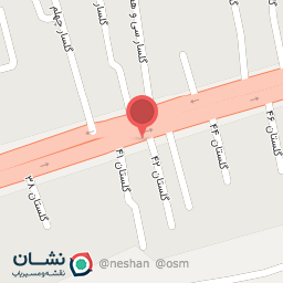 عکس پیتزا گت