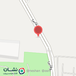 عکس پیتزا بهمن